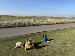 Little rest stop, looking towards Royal St Georges